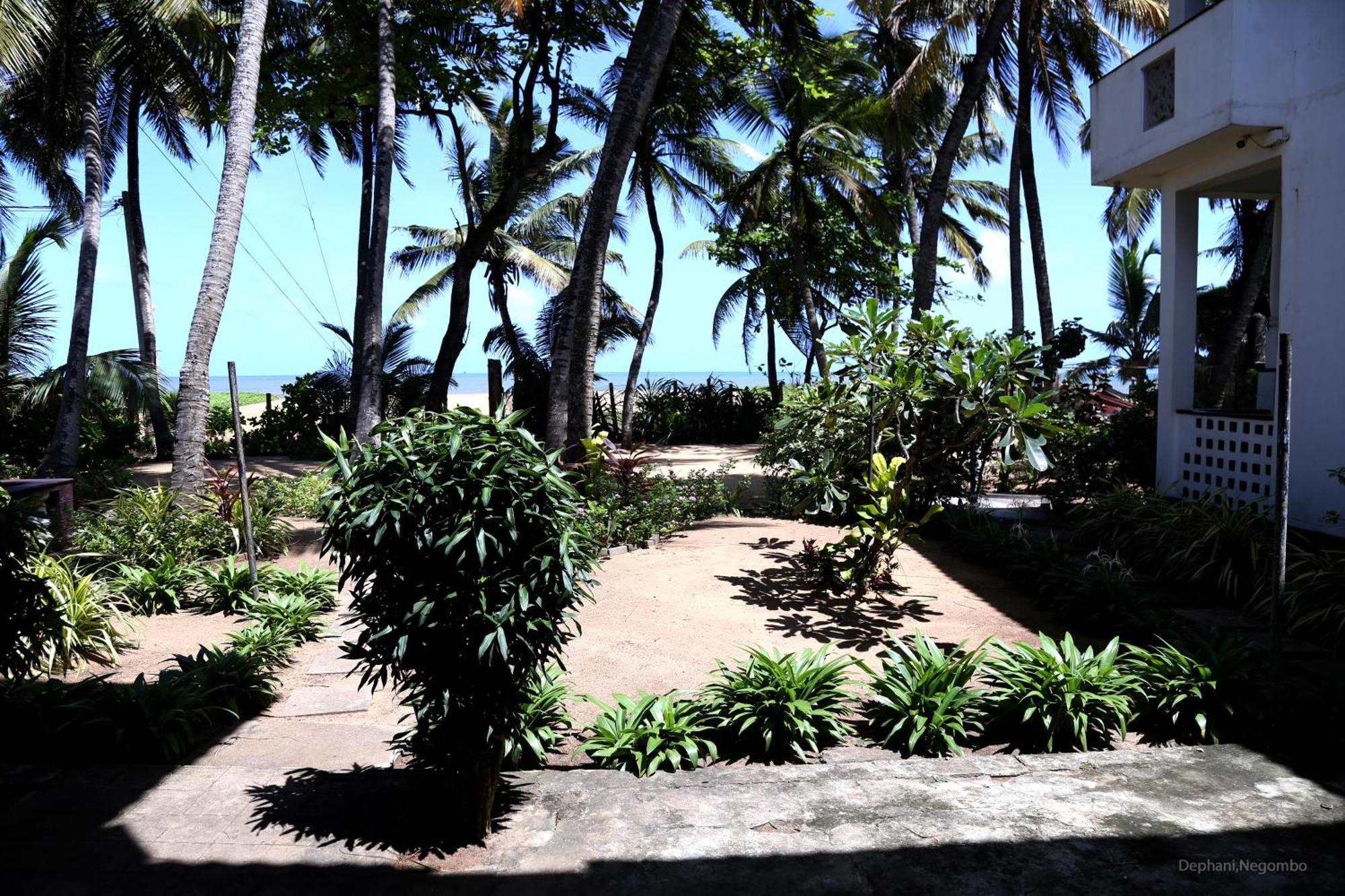 Dephani Beach Hotel Negombo Exterior foto